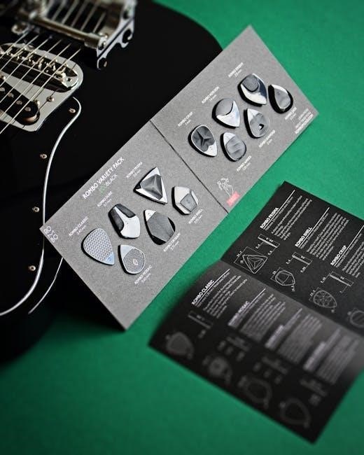 sundance spas instruction manual